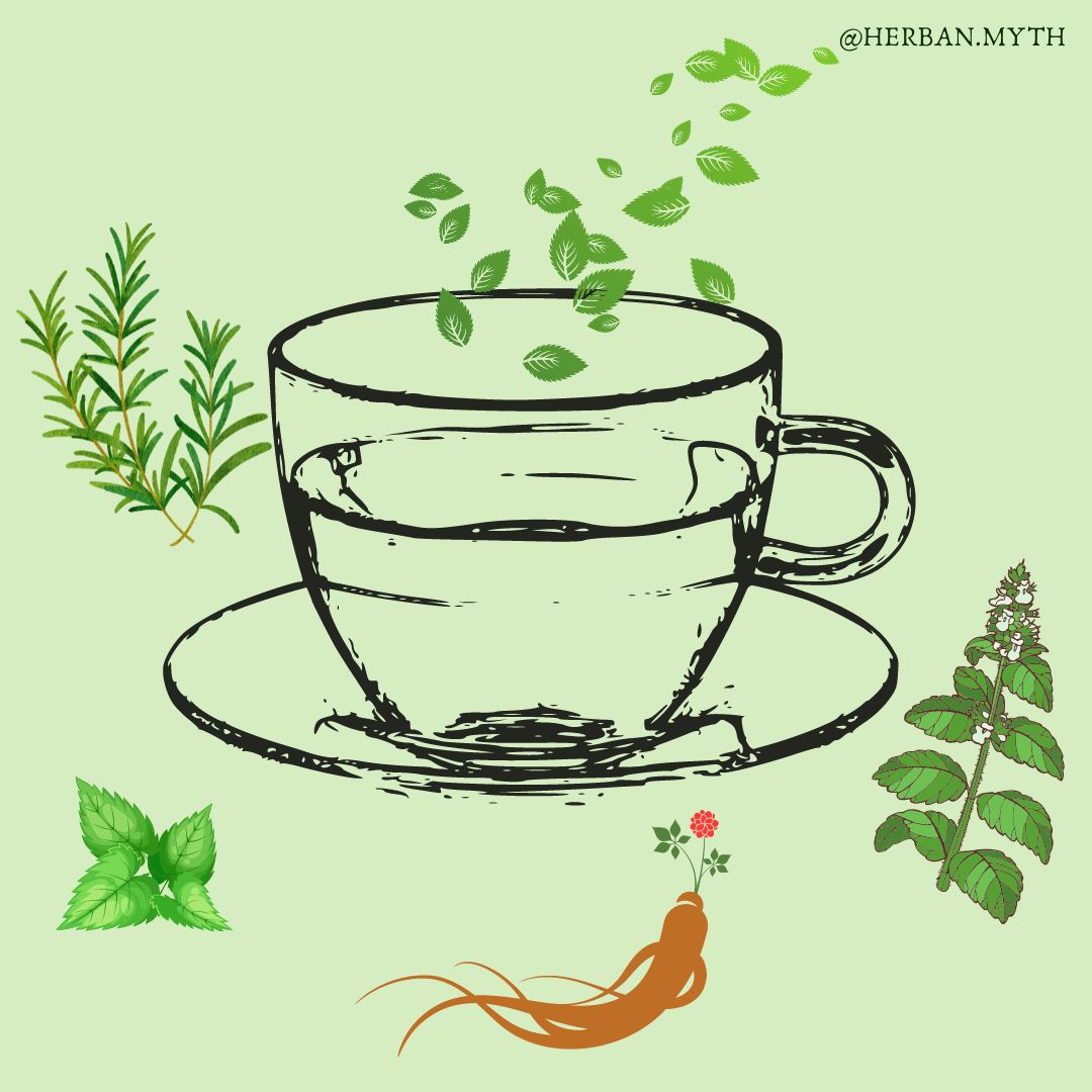 morning-herbs-herban-myth