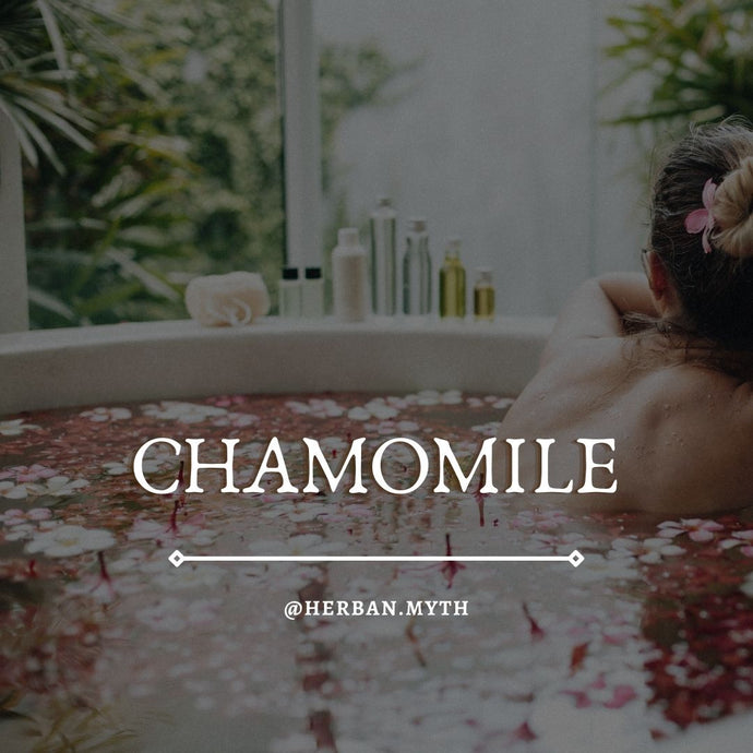 Chamomile