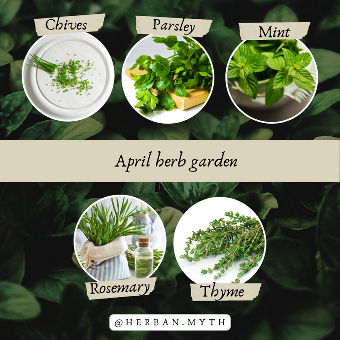 APRIL herbs