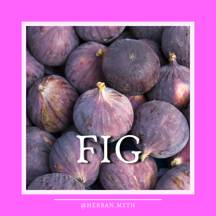 Benefits of fig