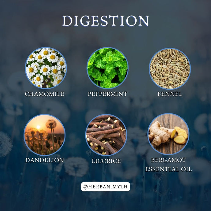 Herbs to aid DIGESTION