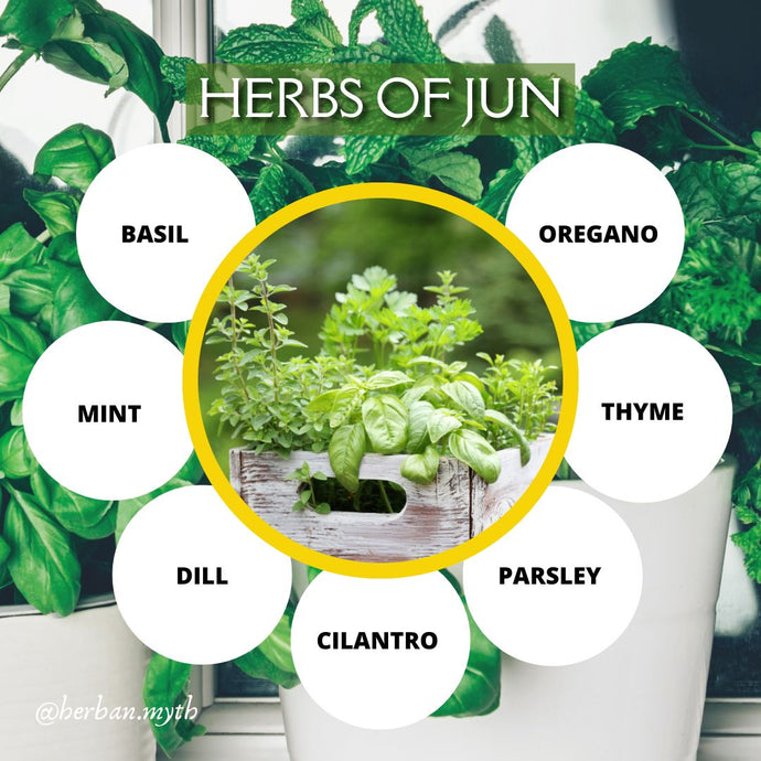 Herbs of Jun