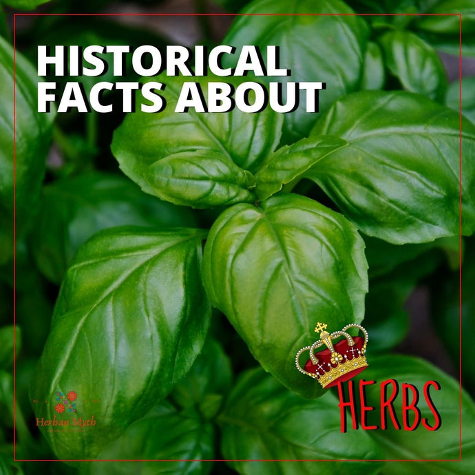 Historical facts about herbs