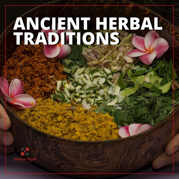 Exploring Ancient Herbal Traditions: Insights from Traditional Chinese Medicine and Ayurveda