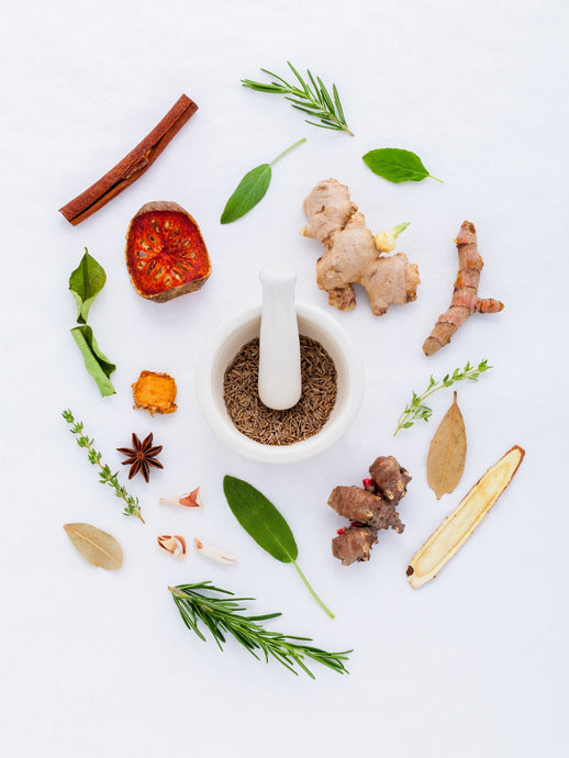 Gut Health and Herbs